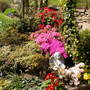 Dscn0536