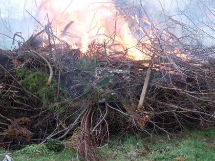 Wassail bonfire