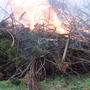 Wassail bonfire