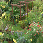 My garden 07