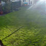 View from the back end of the garden