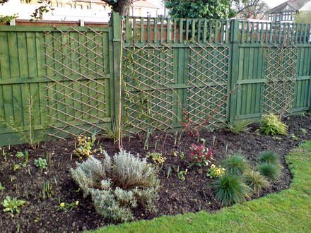 Woodland bed