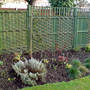 Woodland bed