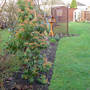 left hand bed in front of the patio
