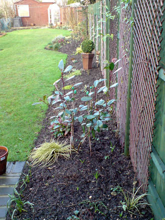 right hand bed in front of the patio