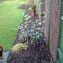 right hand bed in front of the patio