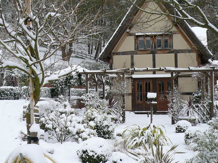 Winter wonderland