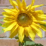July_004