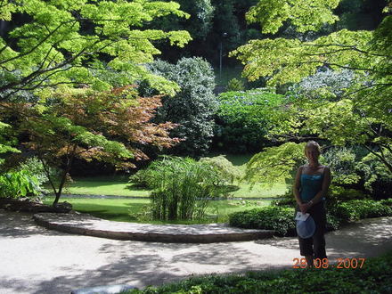 Picture_079.jpg