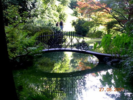 Picture_058.jpg