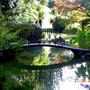 Picture_058