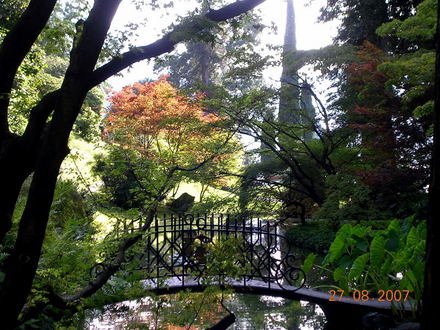 Picture_059.jpg