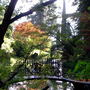 Picture_059