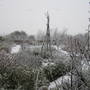 Veg plot January 08 