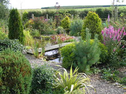 The pond garden, Autumn 07