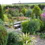 The pond garden, Autumn 07