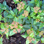 Dsc00067_edited