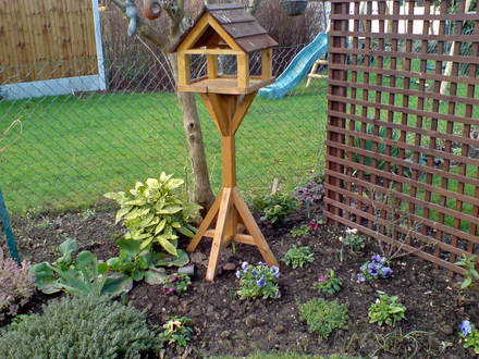 Trellis bed, January 2008