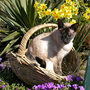 Spring07