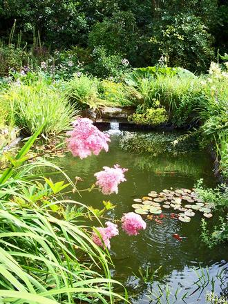 The pond at Moyclare Garden, Liskeard, Cornwall