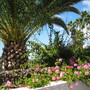Tenerife