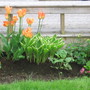 spring 07