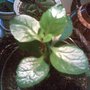 Image029_2_