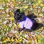 Sophia in October