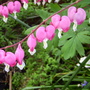 Captured_2007-5-14_00004