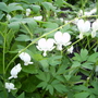 Captured_2007-5-14_00010