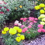 Pict0027