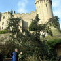 The Mill Garden, in the shadow of the castle