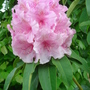 Dsc00083