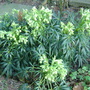 Dsc02703