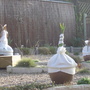 Dsc02709