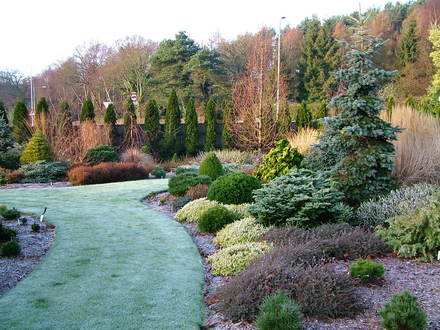 Foxhollow in winter