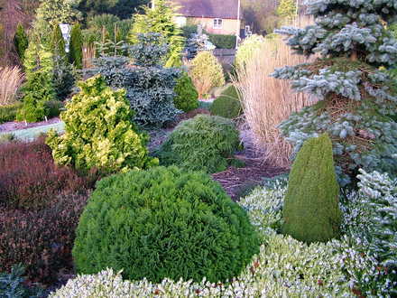 Foxhollow in winter