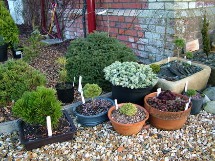 Pots and troughs