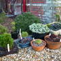 Pots and troughs