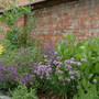 Herb_garden_0161