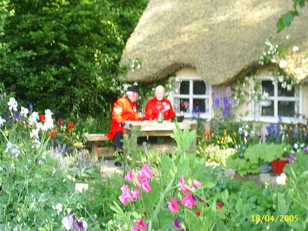 A garden flower photo