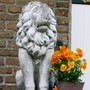 Lion and viola on guard