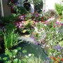 Pond_2006