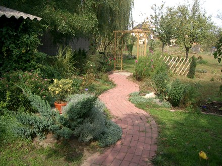 IMGP4409.jpg