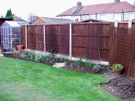 Cottage garden bed - feb 2008