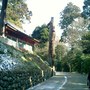 Picture_041