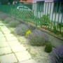 Image_00673