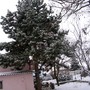 Imgp4621