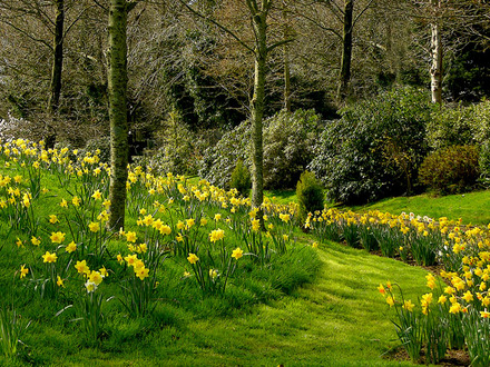 spring walk