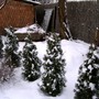 IMGP4632.jpg